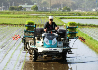 米へのこだわり