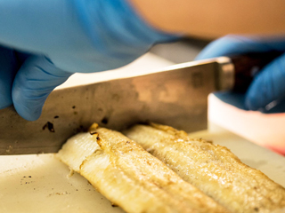 うなぎの白焼き