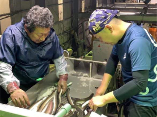 鹿児島鰻現地視察の様子